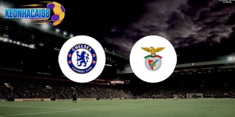 Dự đoán kết quả Chelsea vs Benfica chi tiết
